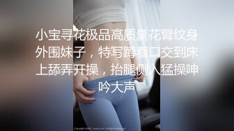 小宝寻花极品高质量花臂纹身外围妹子，特写蹲着口交到床上舔弄开操，抬腿侧入猛操呻吟大声