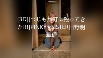 [3D][つじもが町に殺ってきた!!!]PINKY★SISTER日野明華理