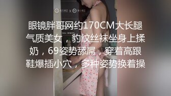 眼镜胖哥网约170CM大长腿气质美女，豹纹丝袜坐身上揉奶，69姿势舔屌，穿着高跟鞋爆插小穴，多种姿势换着操