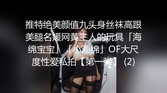 推特绝美颜值九头身丝袜高跟美腿名媛网黄主人的玩具「海绵宝宝」「小海绵」OF大尺度性爱私拍【第一弹】 (2)