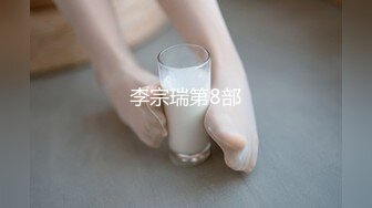 李宗瑞第8部