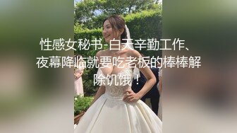 性感女秘书-白天辛勤工作、夜幕降临就要吃老板的棒棒解除饥饿！