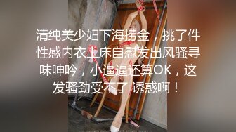 清纯美少妇下海捞金，挑了件性感内衣上床自慰发出风骚寻味呻吟，小逼逼还算OK，这发骚劲受不了 诱惑啊！