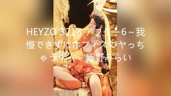 HEYZO 3218 アフター6～我慢できずにオフィスでヤっちゃう！～ – 皆野みらい