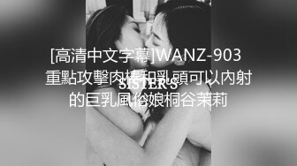 [高清中文字幕]WANZ-903 重點攻擊肉棒和乳頭可以內射的巨乳風俗娘桐谷茉莉