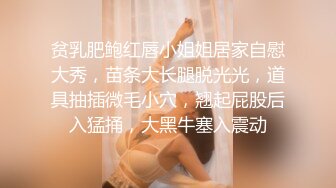 贫乳肥鲍红唇小姐姐居家自慰大秀，苗条大长腿脱光光，道具抽插微毛小穴，翘起屁股后入猛捅，大黑牛塞入震动